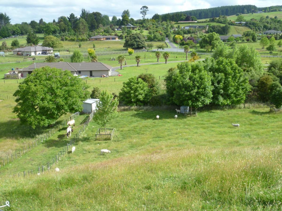 Bellarosa B&B Distretto di Distretto di Rotorua Esterno foto